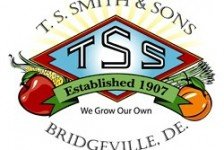 Apple Picking Bridgeville DE