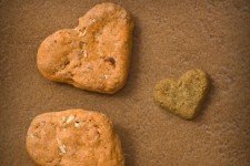 Sandi_s_Snacks_by_Ami