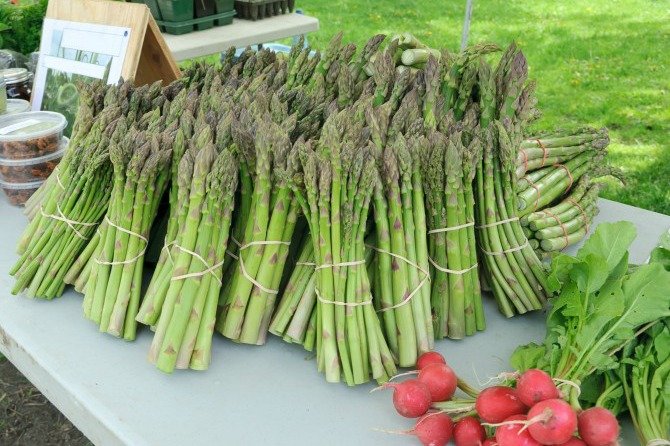 Asparagus at Berlin Farmers Market MD