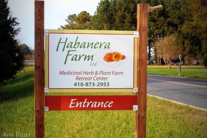 Habanera Farm White Haven MD Tea Herbal Remedies