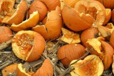 Punkin_Chunkin_DE