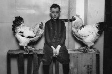 Lady Eglantine Hen from MD who Laid Most Eggs