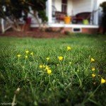 C093906C-C96B-4F14-9D07-49B425E3D8392