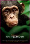 Disneynature-Chimpanzee-Movie-Poster