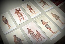 IMG_18642
