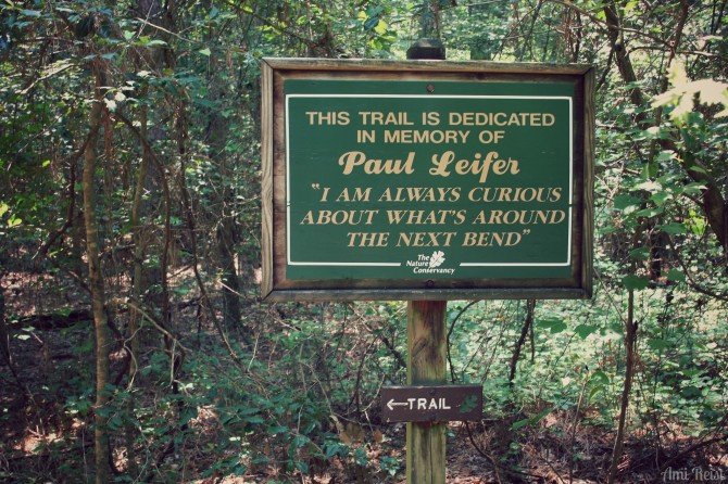 Paul_Leifer_Trail_Ami_Reist_5_2