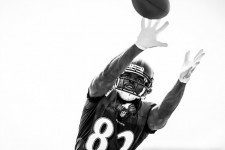 Torrey Camp Baltimore Ravens Football