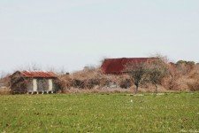 Historical Farms of Berlin, MD _ Worcester County