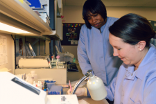 Salisbury University student in the Medical Laboratory Science Program