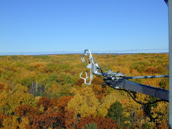A device in Michigan monitored the exchange of gases between the forest and the atmosphere. Chris Vogel