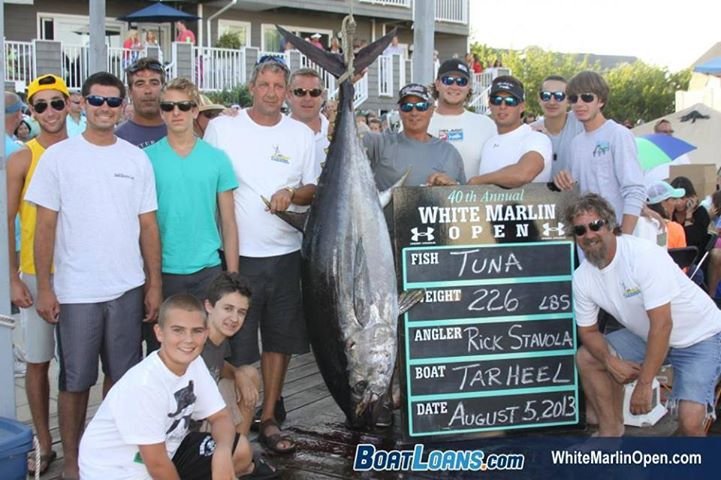 The first white marlin of the tournament! Falling just short in