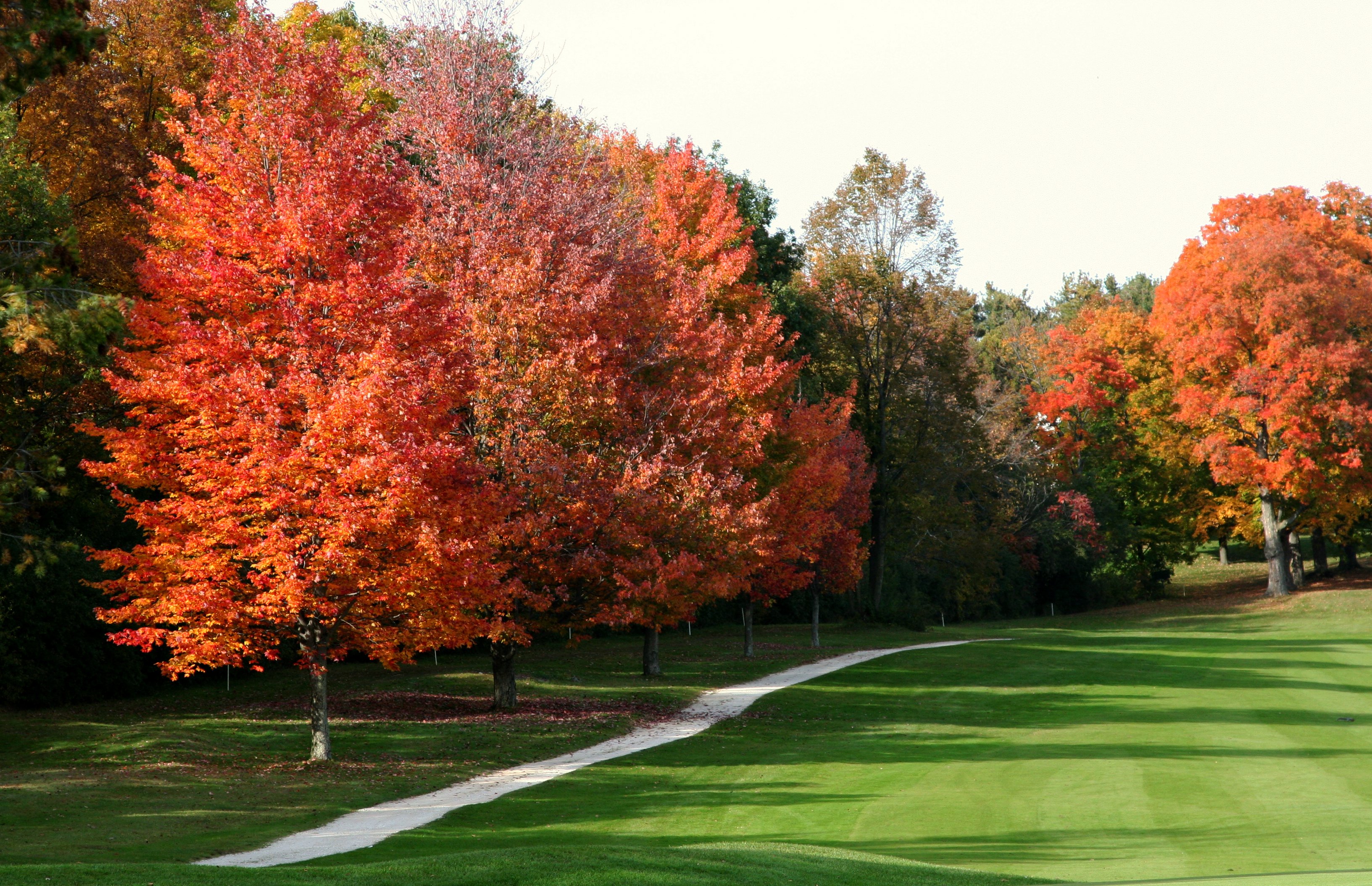 autumn golf_19029163
