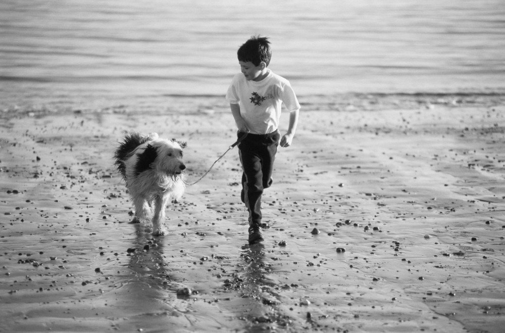 boy beach dog_72365722