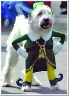 costumed dog parade