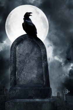 raven on grave with moon and fog_60761848