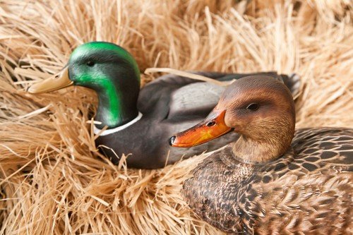 duck decoys_green_brown