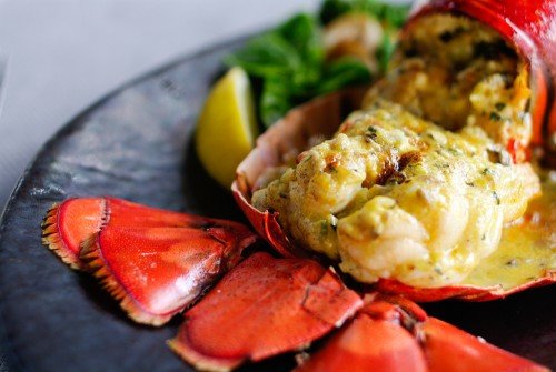 lobster-fancy