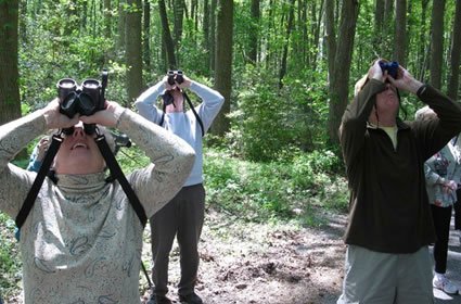 photo courtesy of Delmarva Birding Weekend