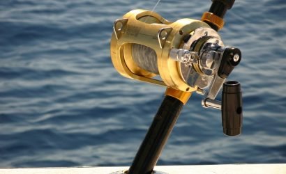 Gold Reel Fishing Rod in Ocean