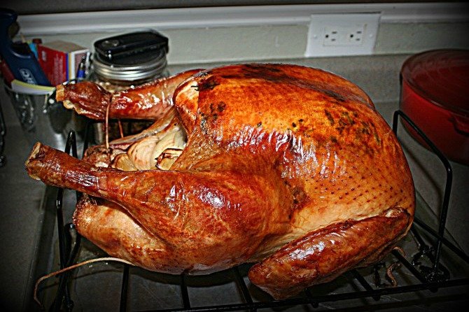 Thanksgiving Turkey by Natalee DeHart