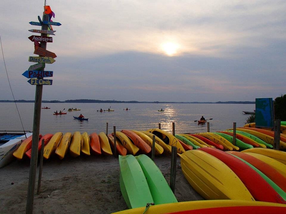 Coastal Kayak EcoFriendly Tours of Fenwick, Assateague, Cypress by