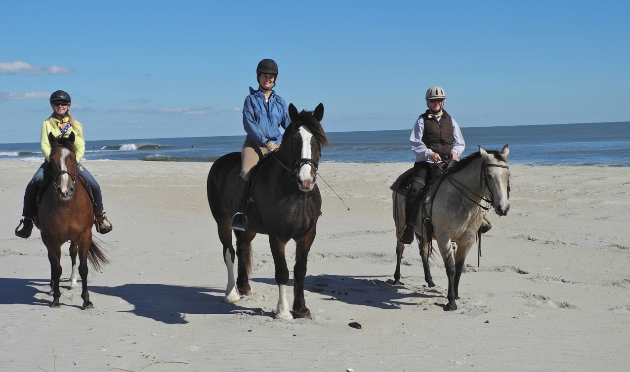 A Fresh Perspective: Riding the Beaches on Horseback | Shorebread