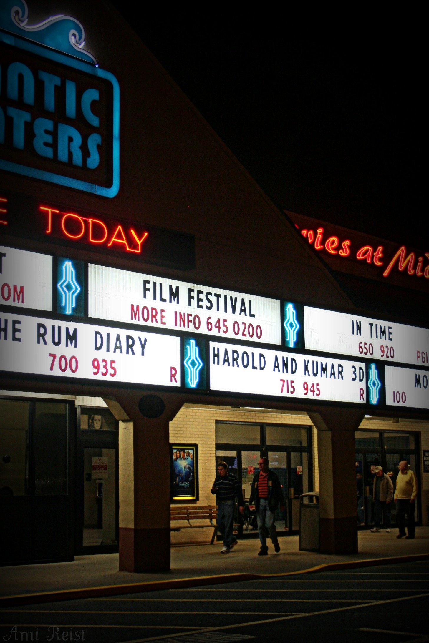 The Rehoboth Beach Independent Film Festival The Tree Shorebread