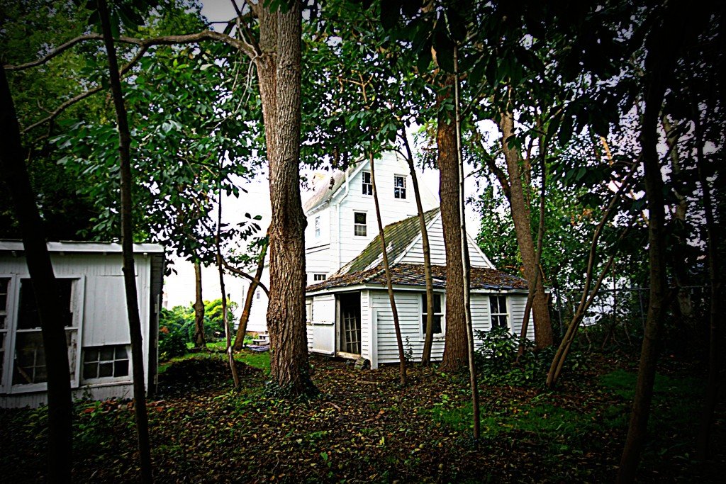 Can See the Light Update on Humphreys House Shorebread