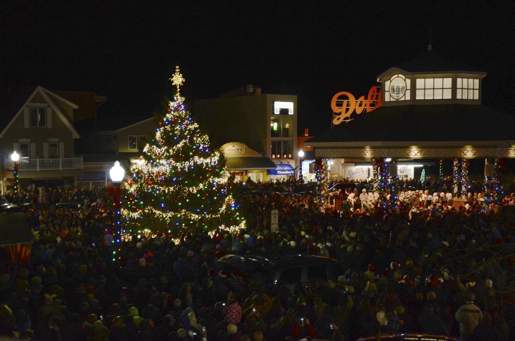 Rehoboth Beach ISO a Holiday Tree Shorebread