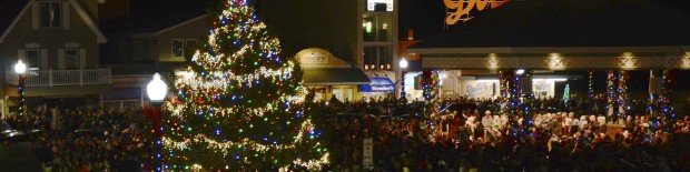 Rehoboth Beach ISO a Holiday Tree | Shorebread