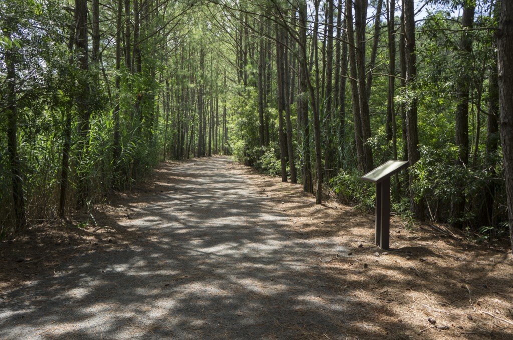 Herring Creek Nature Park (10) ShoreBread Eastern Shore Lifestyle