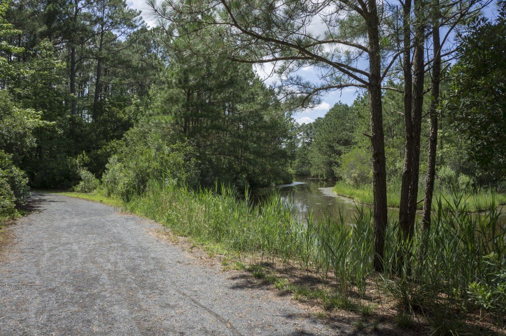 Herring Creek Nature Park (3) ShoreBread Eastern Shore Lifestyle Magazine