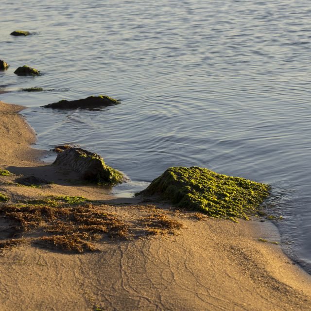 Then & Now Public Landing Shorebread