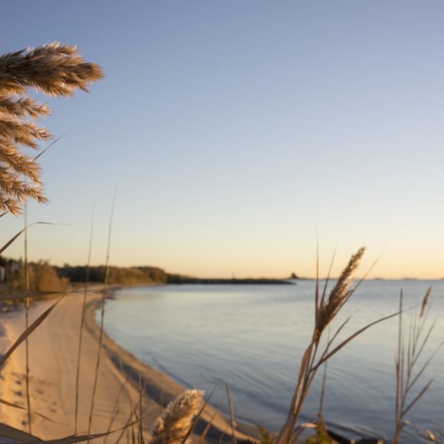 Then & Now Public Landing Shorebread