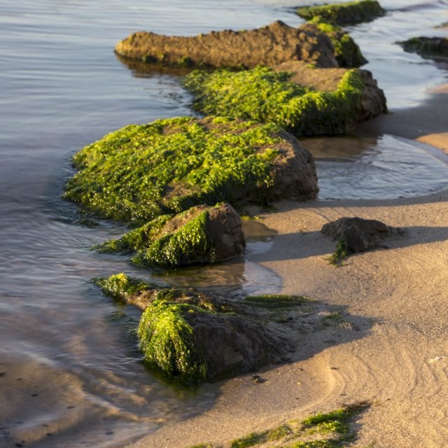 Then & Now Public Landing Shorebread