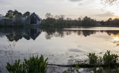 Ward Museum on a pond at sunset