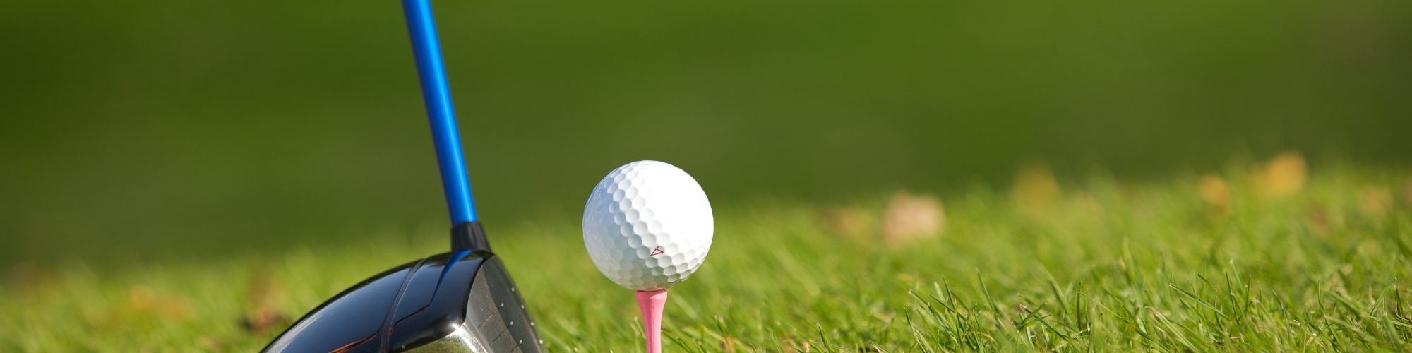golf club and golf ball in grass for golf tournament