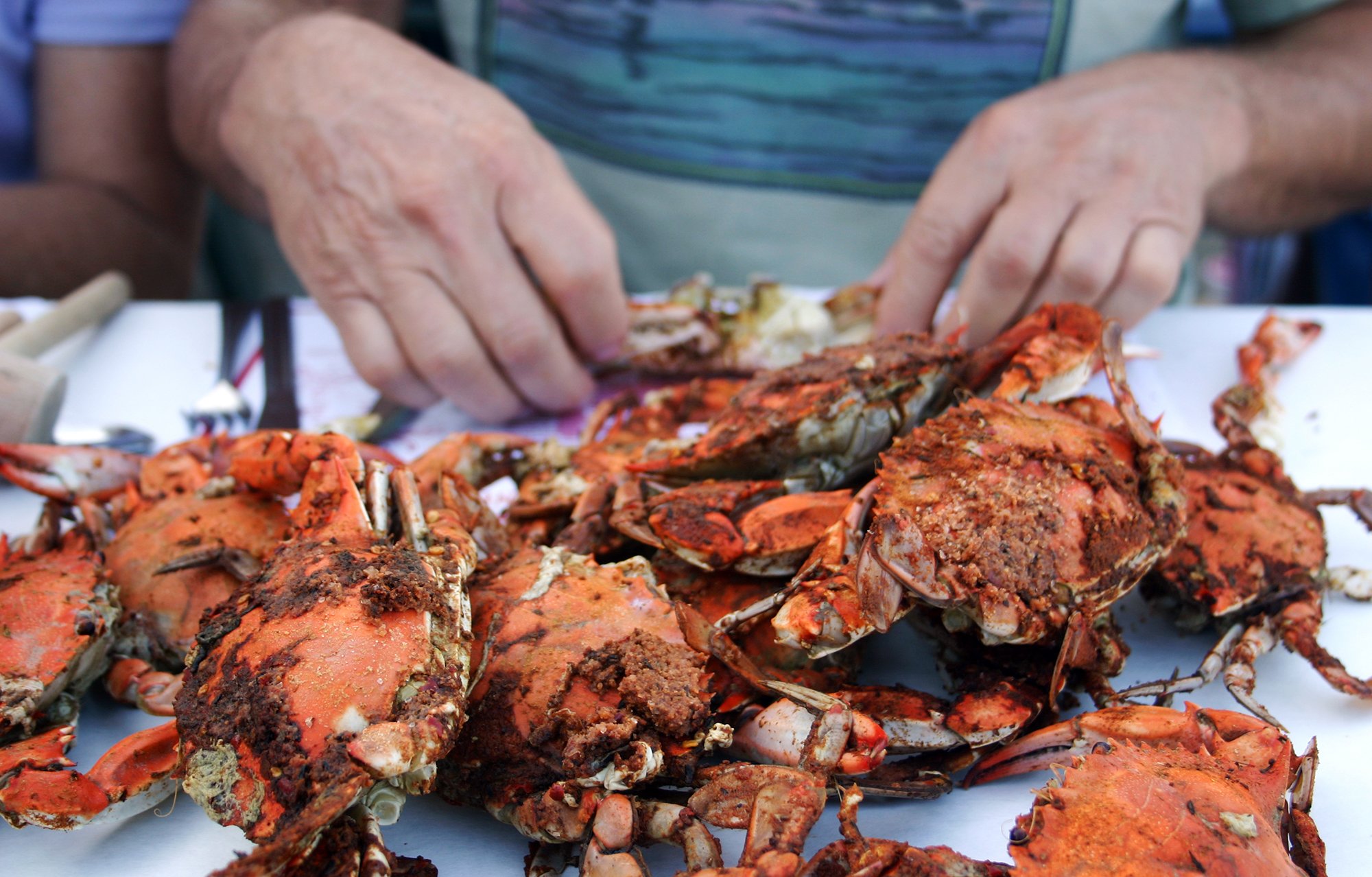 J. Millard Tawes Crab & Clam Bake Returns July 19th Shorebread