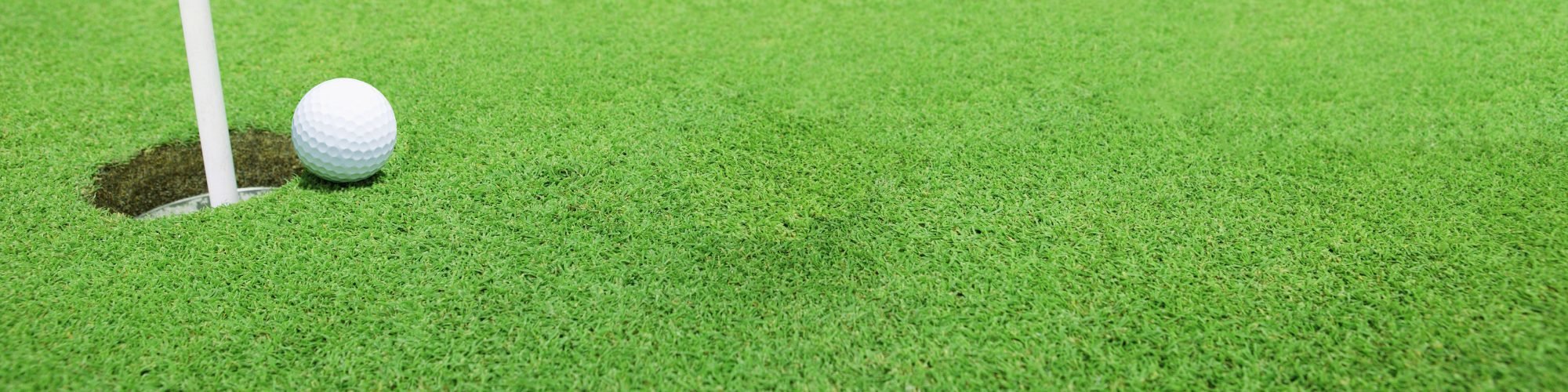 golf tournament with a golf ball on green grass