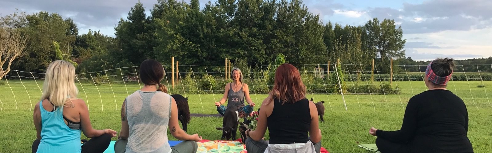 sunset goat yoga with goats playing in field as people meditate