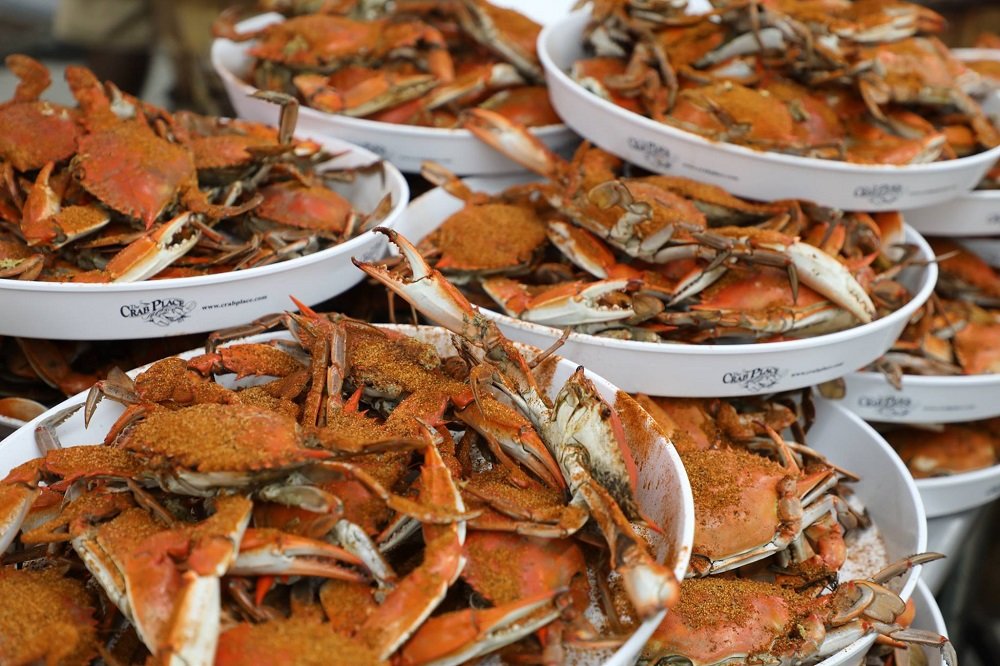 Top 20 Things to Do in Ocean City, MD Shorebread