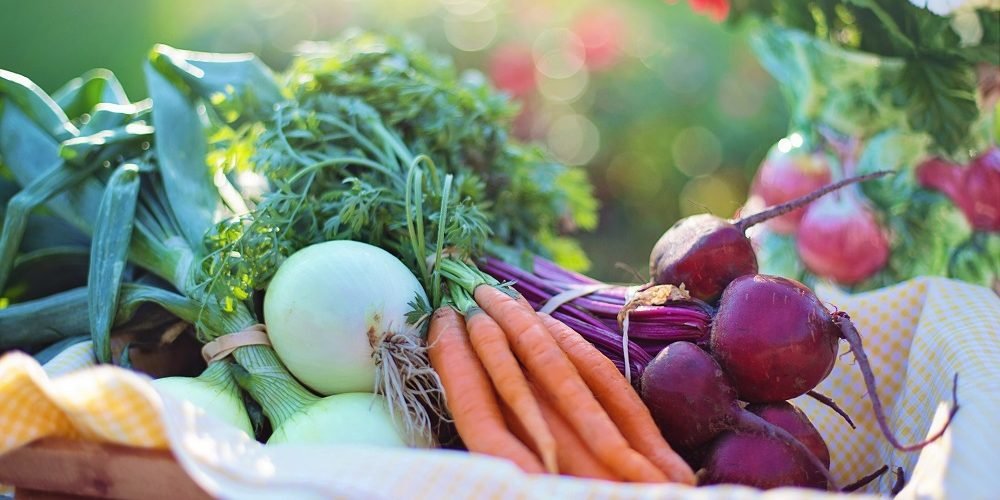 Carrots, Beets and vegetables in basket