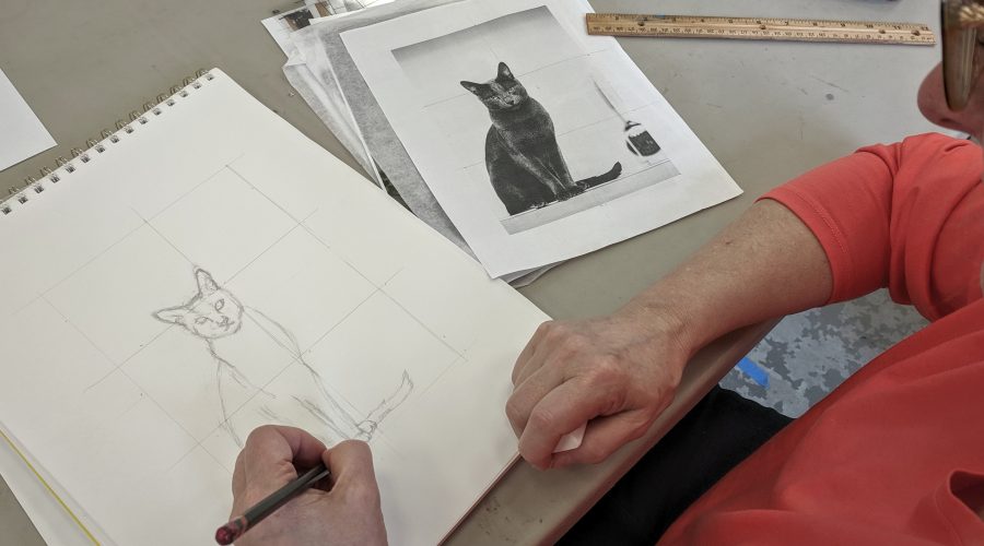 woman drawing a cat