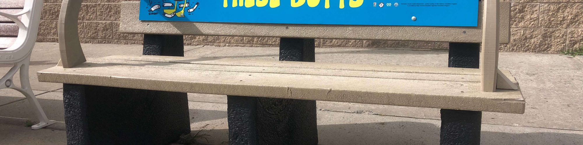 boardwalk bench