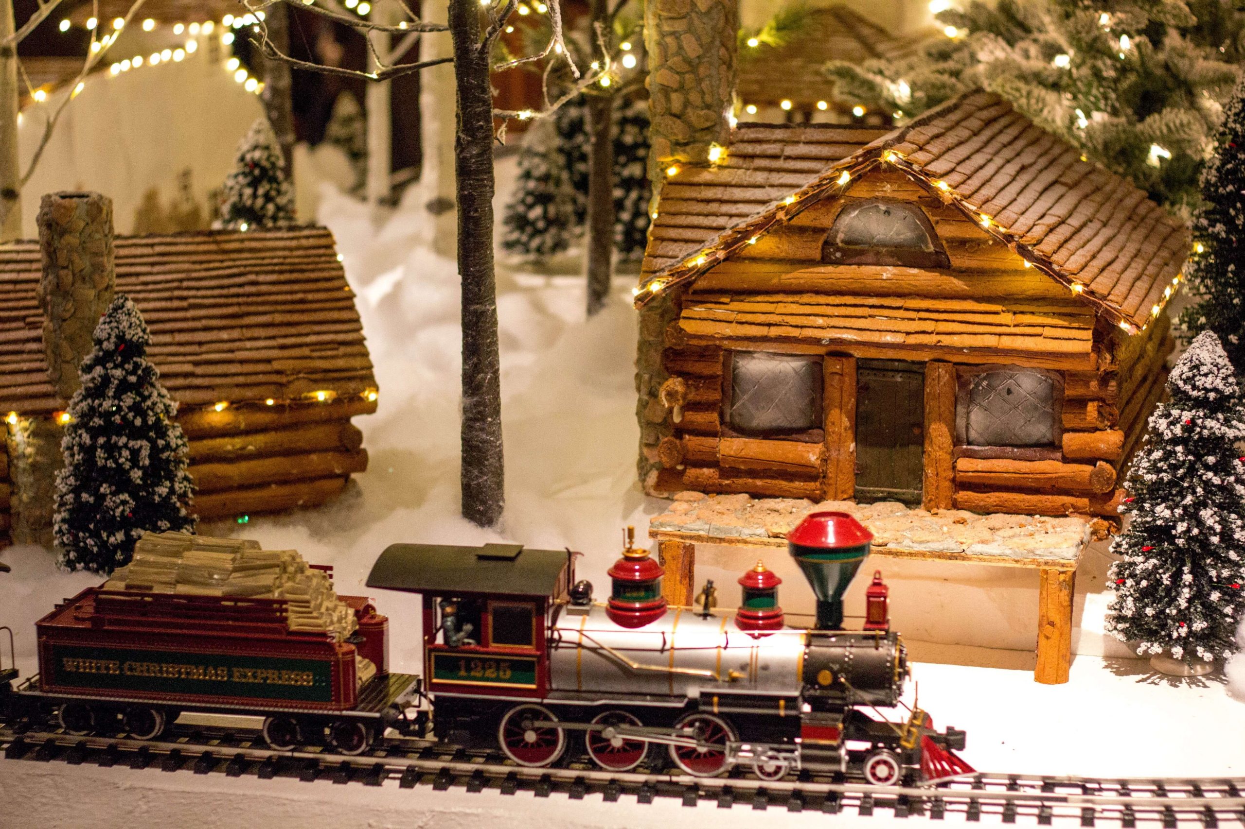 Wicomico County 2022 Christmas Vacation Gingerbread House Competition In Salisbury, Md | Shorebread